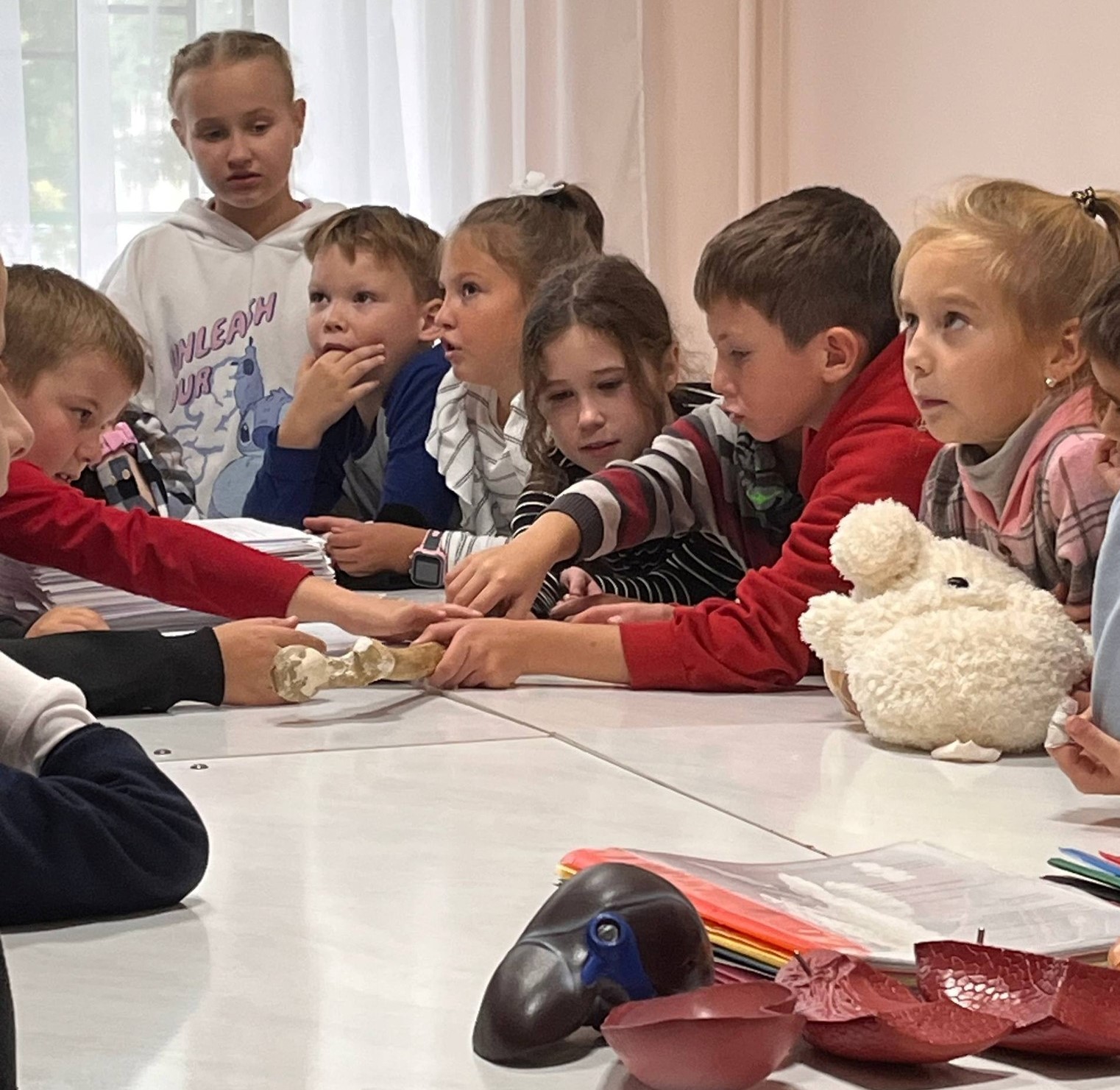 Знайомство з професією медика